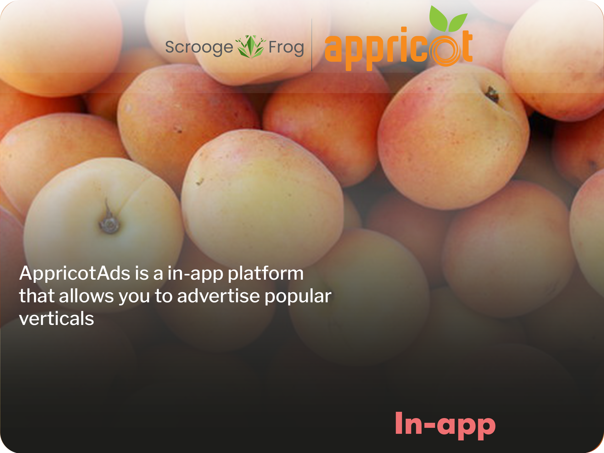 AppricotAds is a in-app platform that allows you to advertise popular verticals